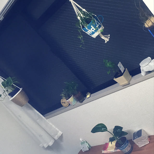 観葉植物/一人暮らし/セリア/キッチンのインテリア実例 - 2019-08-02 00:08:32