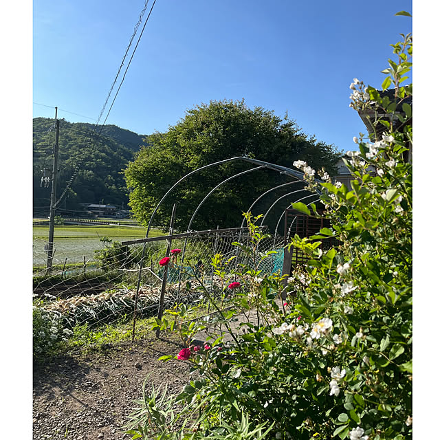 cota2さんの部屋
