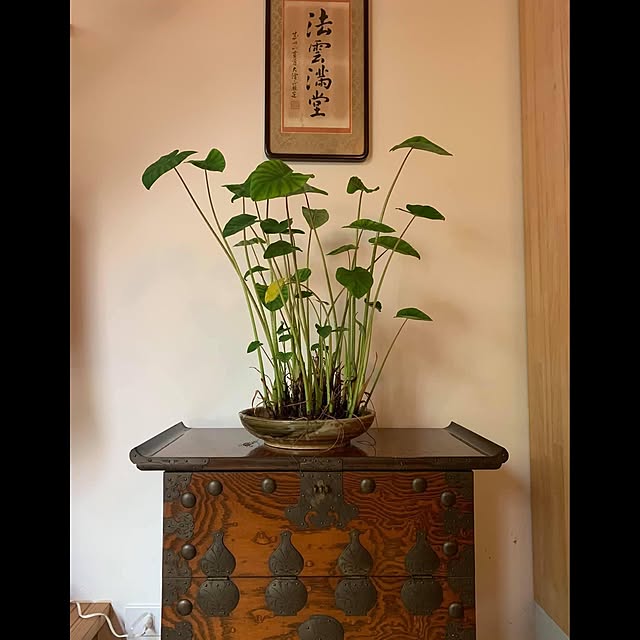 chettoさんの実例写真