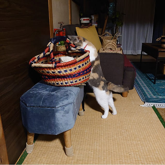 fukuさんの実例写真