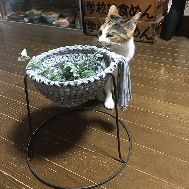 vivienne.coco-keiさんの実例写真