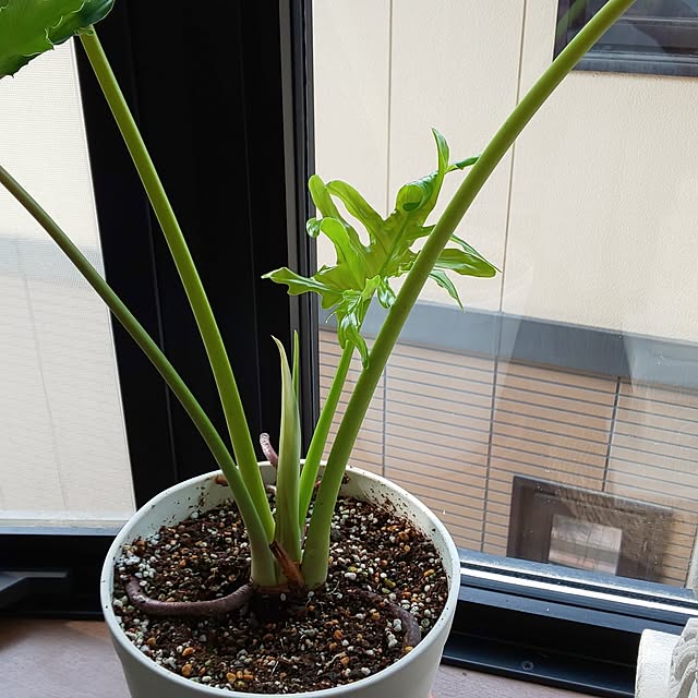 yumiyumiさんの部屋