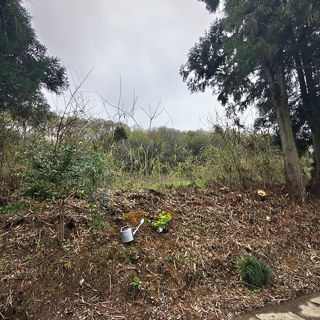 Rubiconさんの部屋