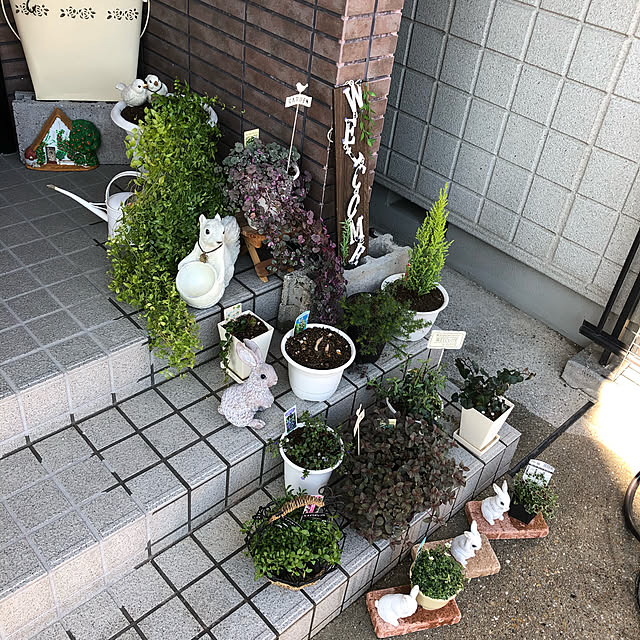 mieさんの実例写真