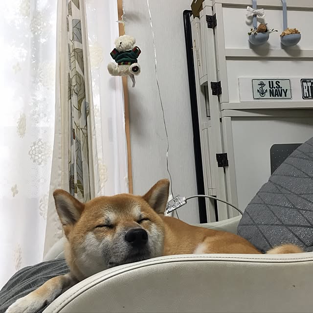 kotaさんの実例写真