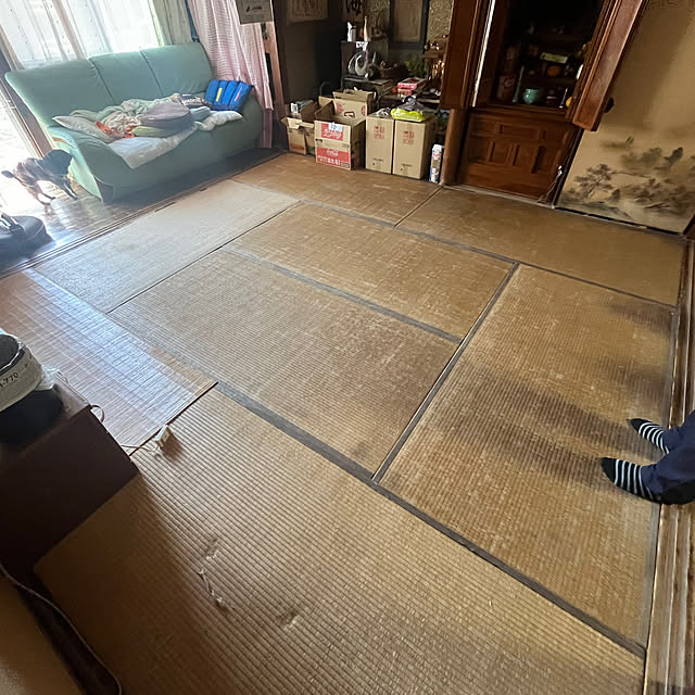dorazonbiさんの実例写真