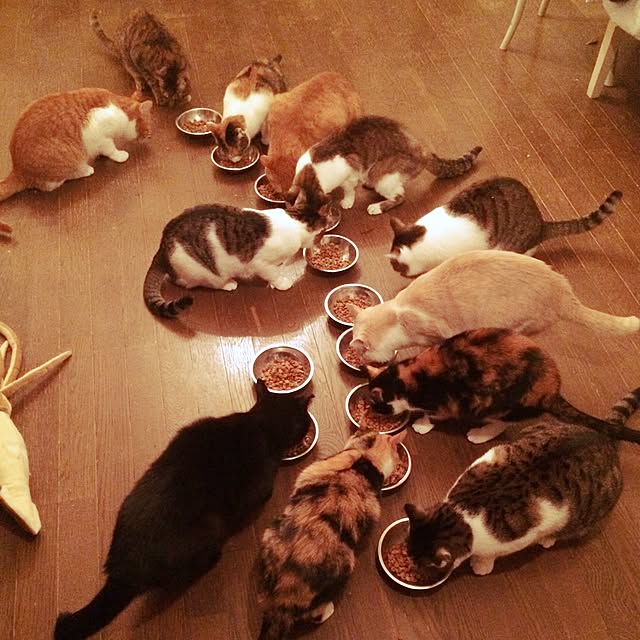 makiさんの実例写真