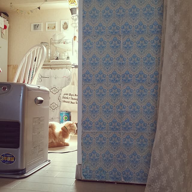 cottonさんの実例写真