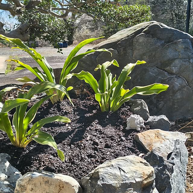 Rubiconさんの部屋