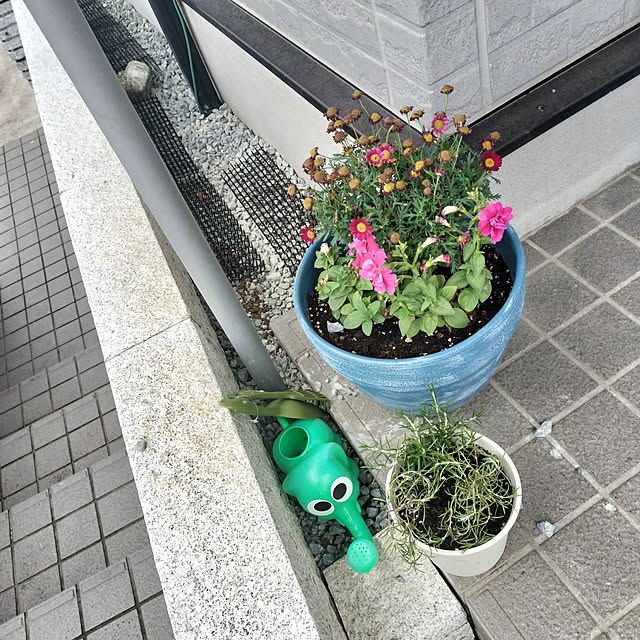 mash-room.aeさんの部屋