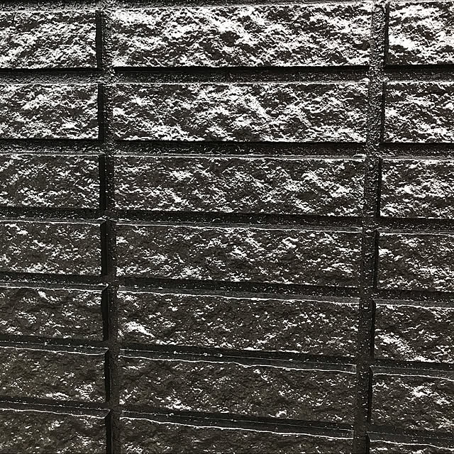 honobono1023さんの実例写真