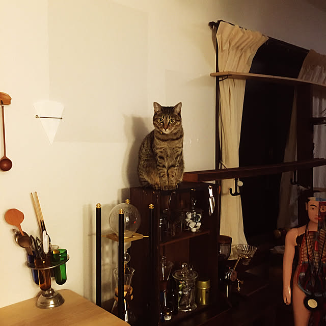 Mさんの実例写真