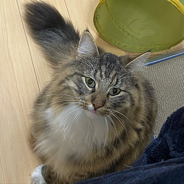 sh.0514さんの実例写真