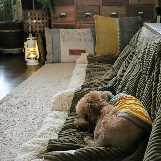 cocoa299さんの実例写真