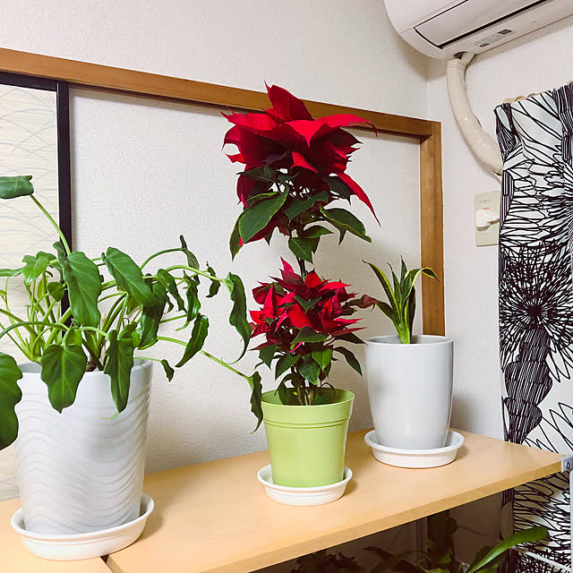 hanachanさんの部屋