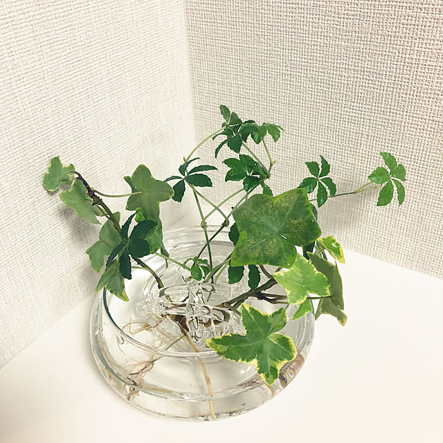 yoyoyoさんの部屋