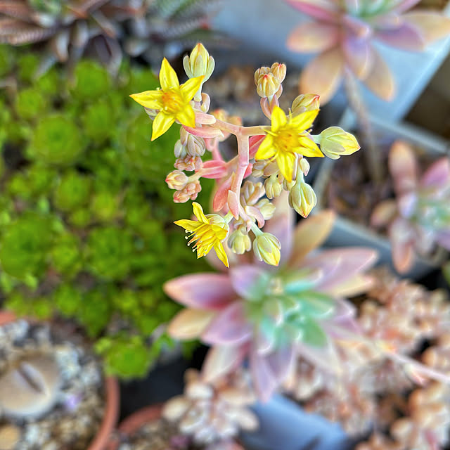 machikoooさんの部屋