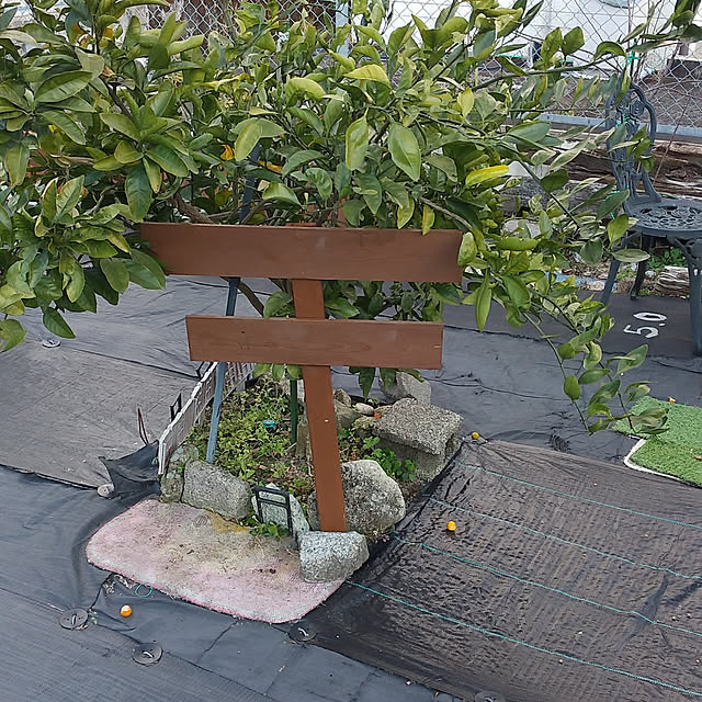 um0630umさんの実例写真
