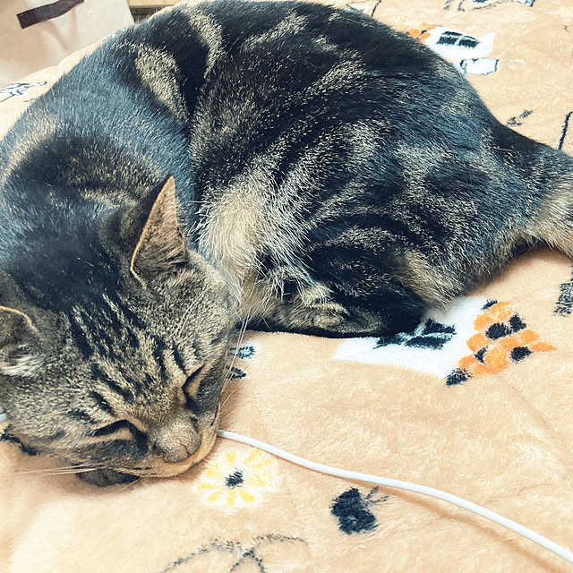 abcさんの実例写真