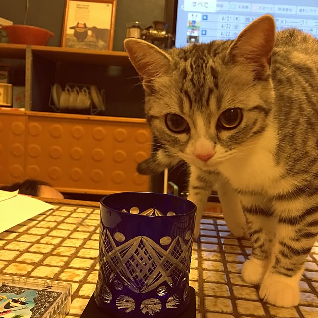 Shojiさんの実例写真
