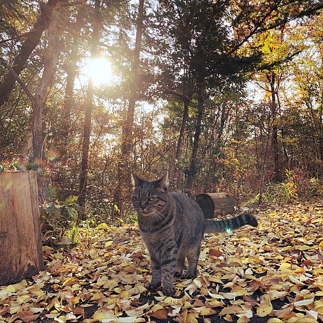 weさんの実例写真