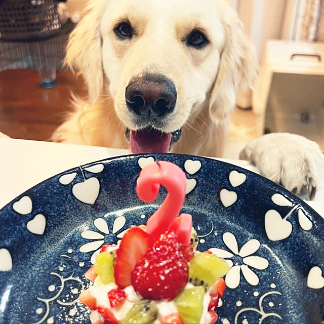 tomoさんの実例写真