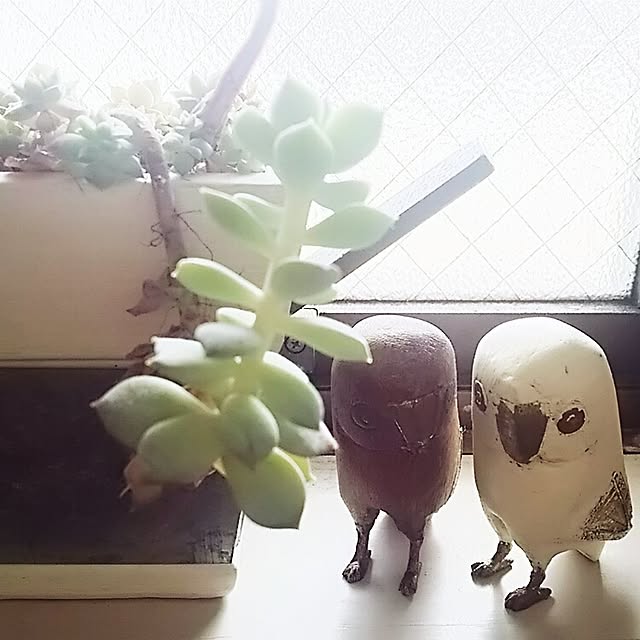 angel104さんの実例写真