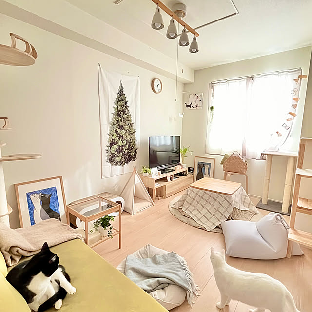 kiyomiさんの実例写真