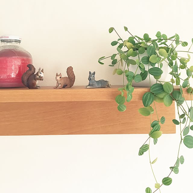 壁/天井/無印良品/観葉植物のインテリア実例 - 2016-09-05 10:30:04