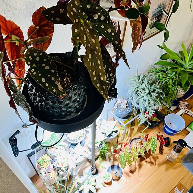 Rさんの部屋