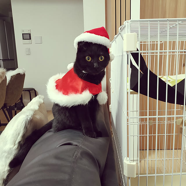 sakuraさんの実例写真