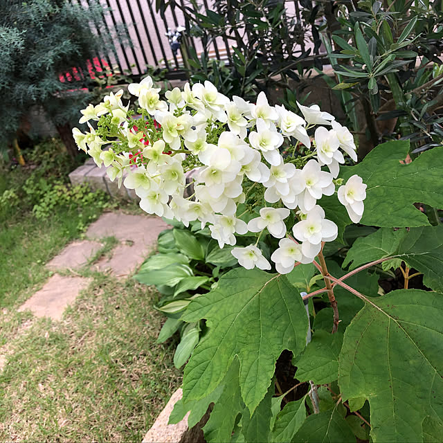 soranoiroさんの実例写真