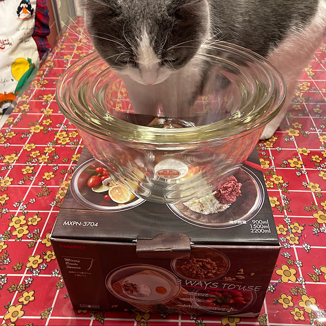 Riccoさんの実例写真