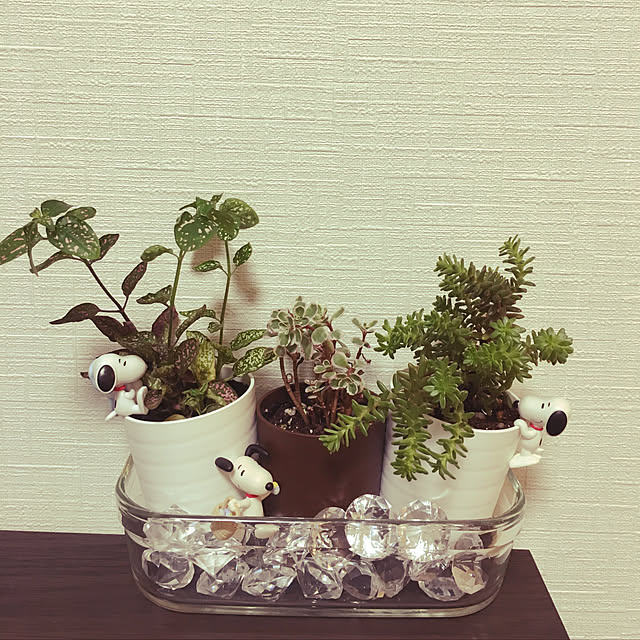 yuuuka.kさんの実例写真