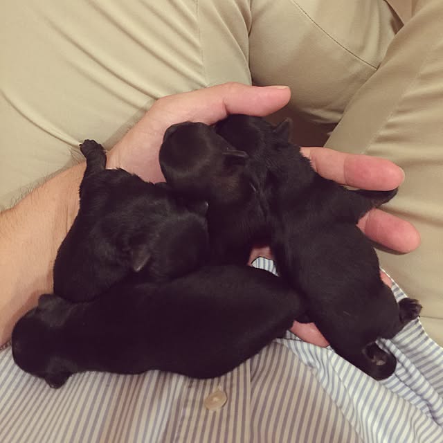 Thammaratさんの実例写真