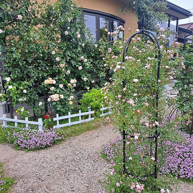 exileingkさんの部屋