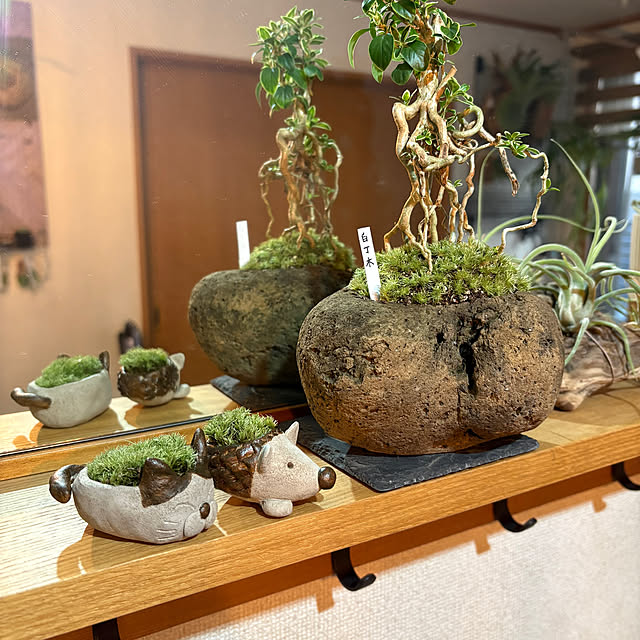 CoffeeHouseさんの実例写真