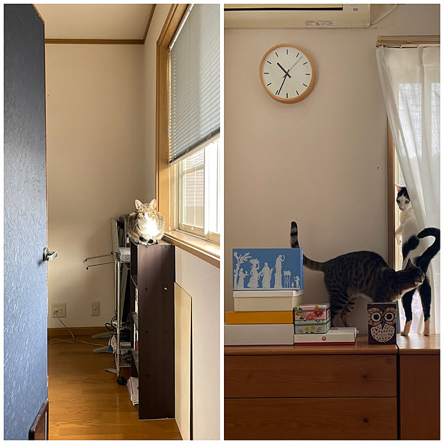 nobikoさんの実例写真
