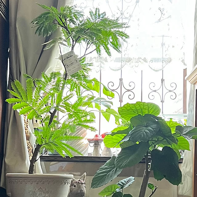 Kuniさんの部屋