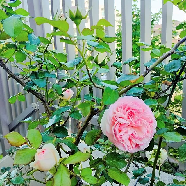 hiromimiさんの部屋