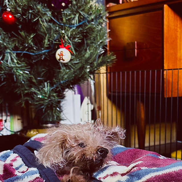 chacoさんの部屋