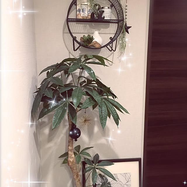 maminkosanさんの実例写真