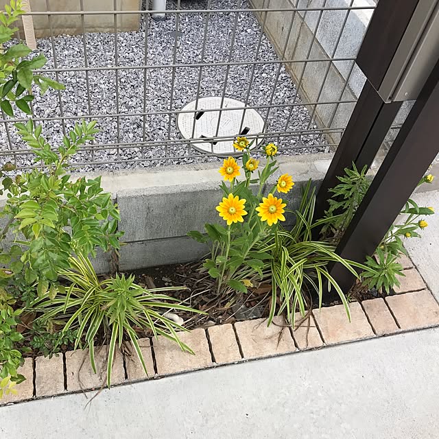 hiroさんの実例写真