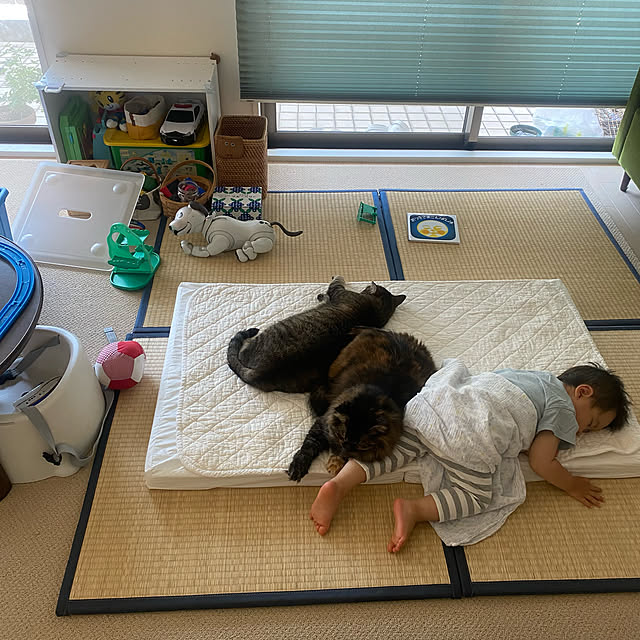 mikomaruさんの実例写真