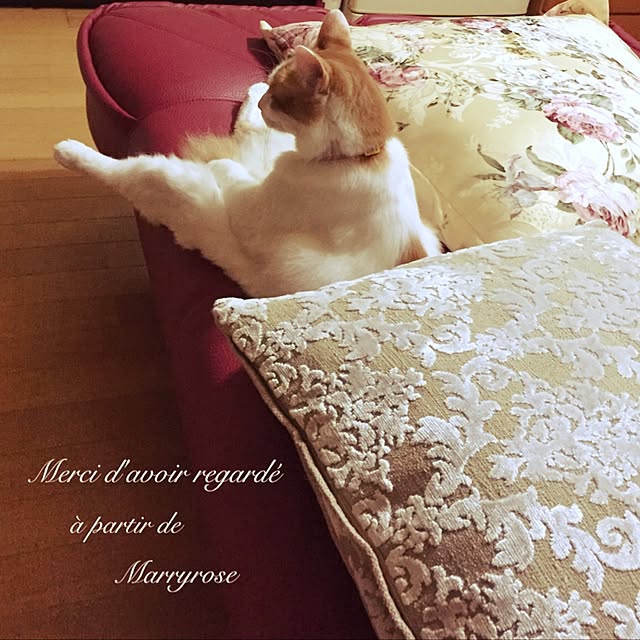 maria.rさんの実例写真