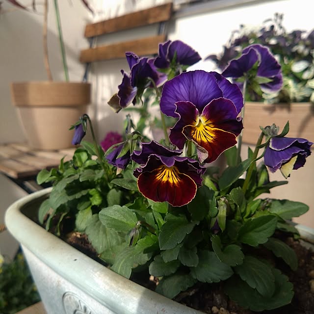 kerochanさんの部屋