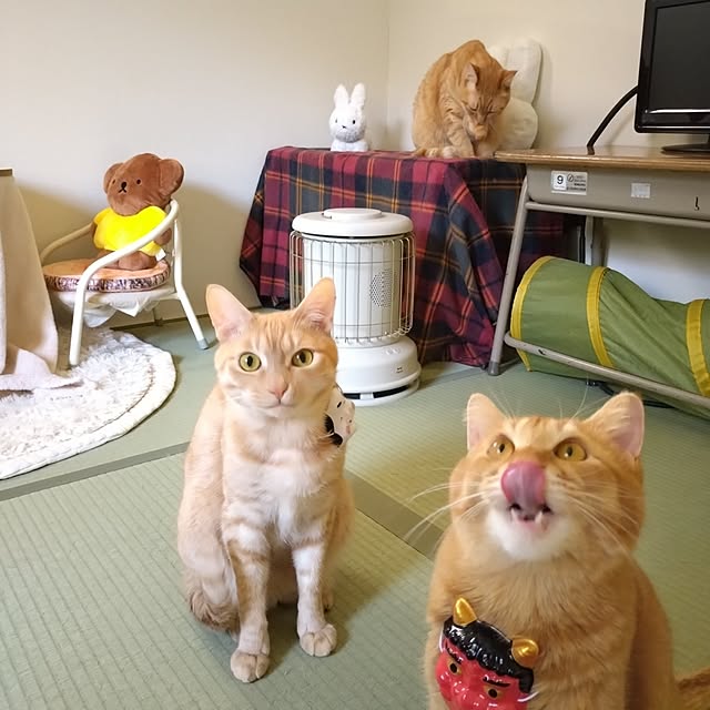 mayutan.さんの実例写真