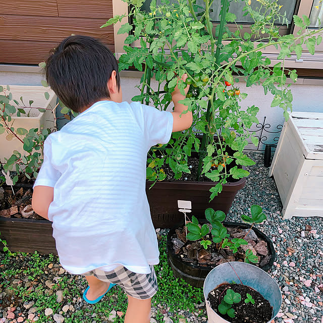 naosunnyさんの実例写真