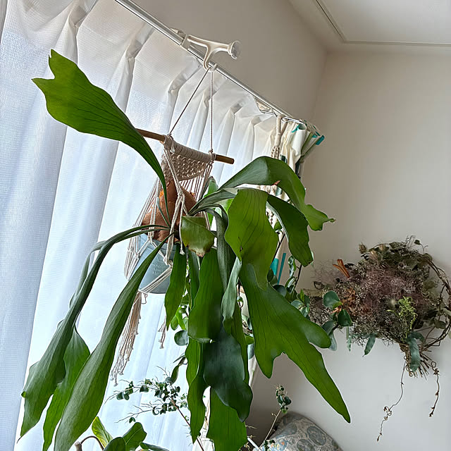 ayayayayaさんの部屋