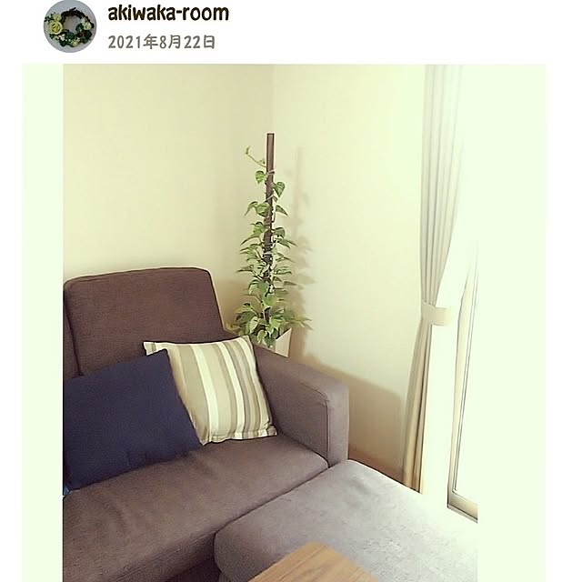akiwaka-roomさんの部屋